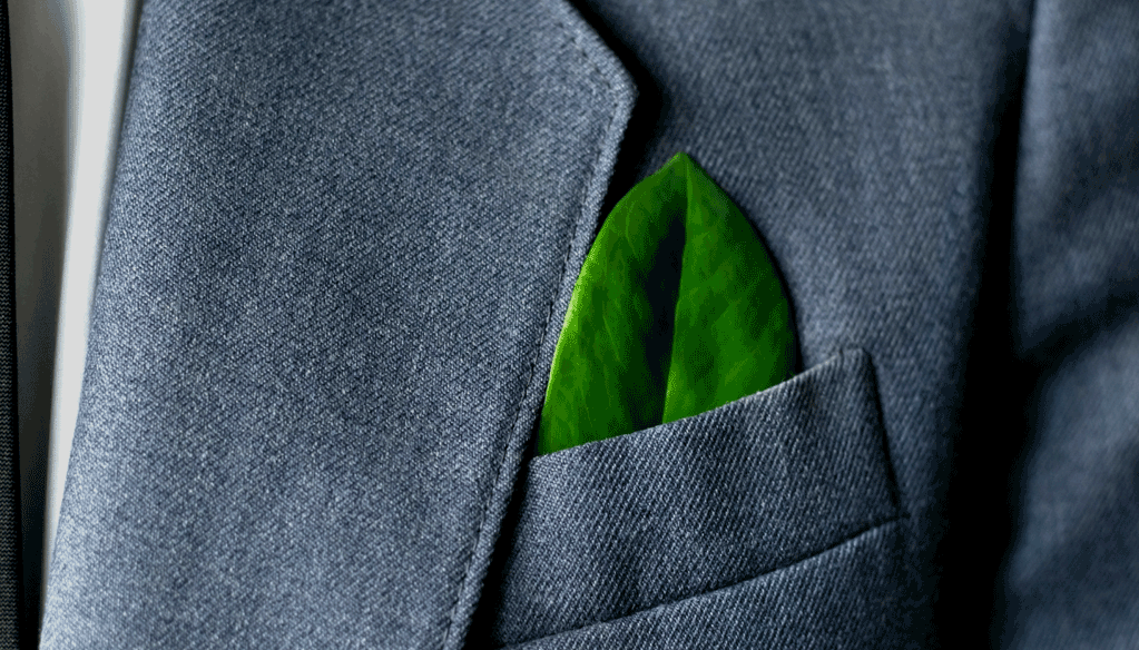 Croissance durable: La pandémie, catalyseur d’une relance verte Croissance durable: La pandémie, catalyseur d'une relance verte