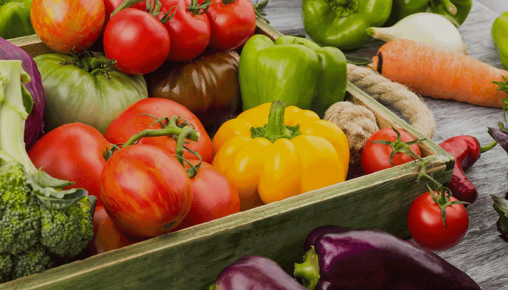 Les exportations horticoles sur un trend haussier Les exportations horticoles sur un trend haussier