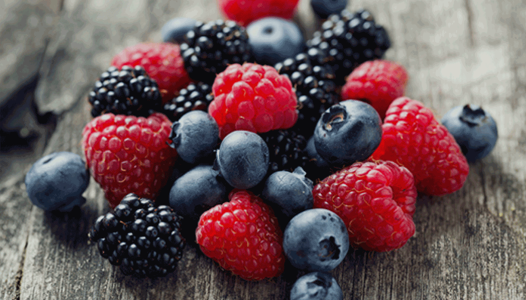 Petits fruits rouges: La percée du Gharb se confirme Petits fruits rouges: La percée du Gharb se confirme