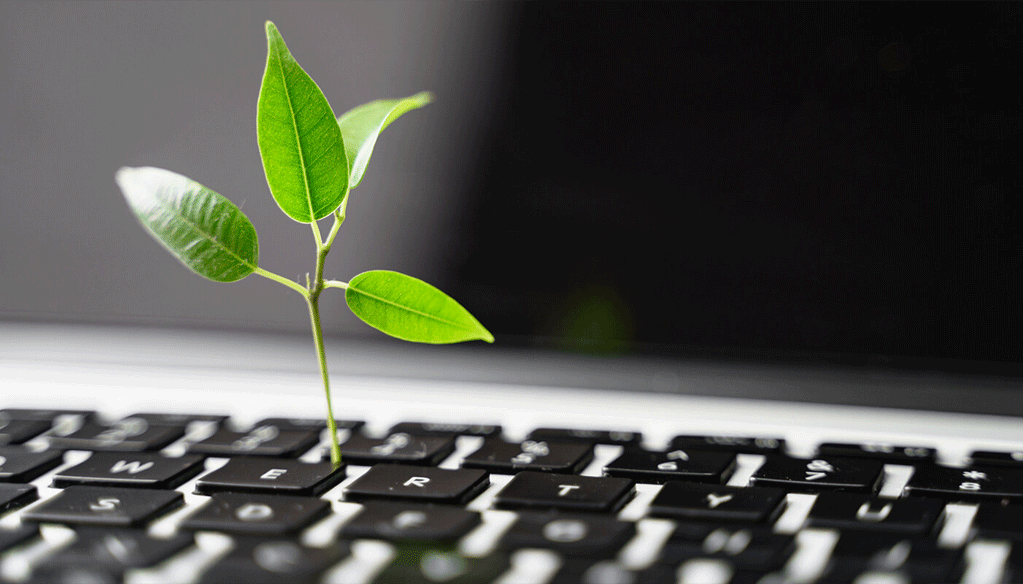 Le CAM lance la première édition de son concours « Green Jobs” Le CAM lance la première édition de son concours "Green Jobs”