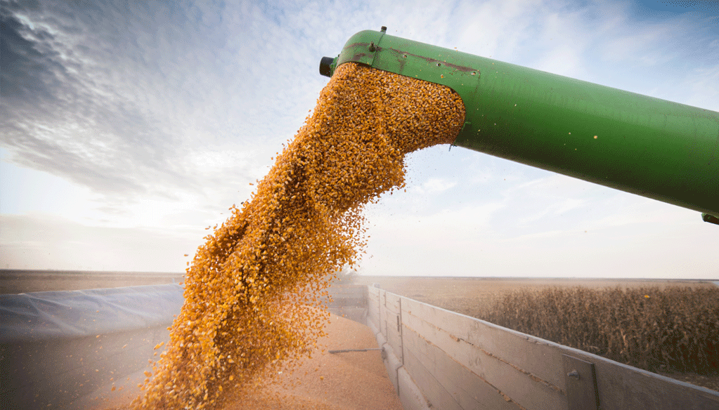 Stress hydrique oblige, la campagne agricole affiche des allures de déjà vu La campagne agricole de cette année sera similaire à celle de 2015-2016
