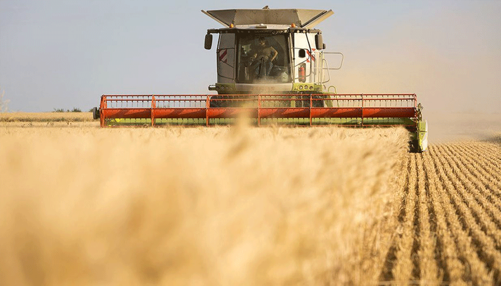 Le PIB agricole devrait baisser de 14% en 2022 Le PIB agricole devrait baisser de 14% en 2022