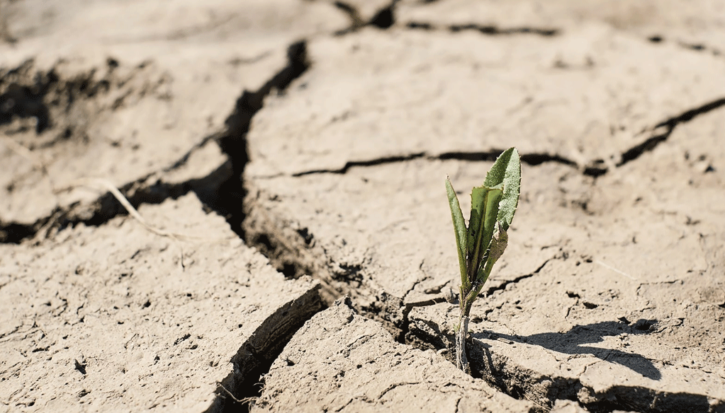 Stress hydrique: Le Maroc doit se préparer au pire en espérant le meilleur Stress hydrique: Le Maroc doit se préparer au pire en espérant le meilleur