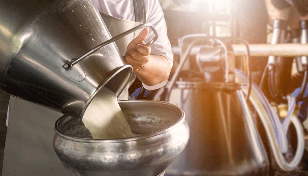 Un programme de soutien à la chaîne de production du lait dans le pipe Un programme de soutien à la chaîne de production du lait dans le pipe