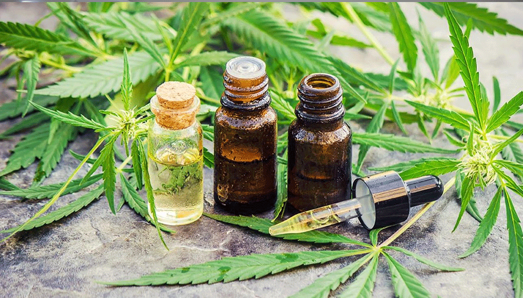 Usages licites du cannabis: Les nouvelles orientations de l’ADII Usages licites du cannabis: Les nouvelles orientations de l’ADII