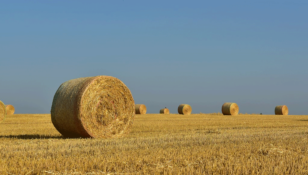 10 MMDH pour un nouveau programme de soutien aux agriculteurs 10 MMDH pour un nouveau programme de soutien aux agriculteurs