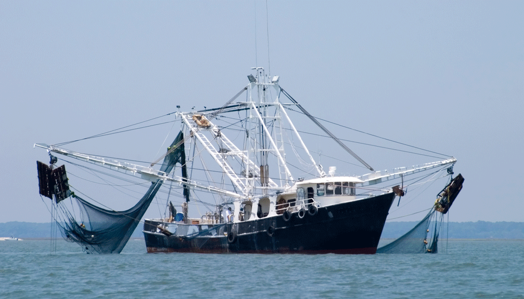 L’Espagne appelle l’UE à accélérer la mise en place du nouvel accord de pêche avec le Maroc L'Espagne appelle l'UE à accélérer la mise en place du nouvel accord de pêche avec le Maroc