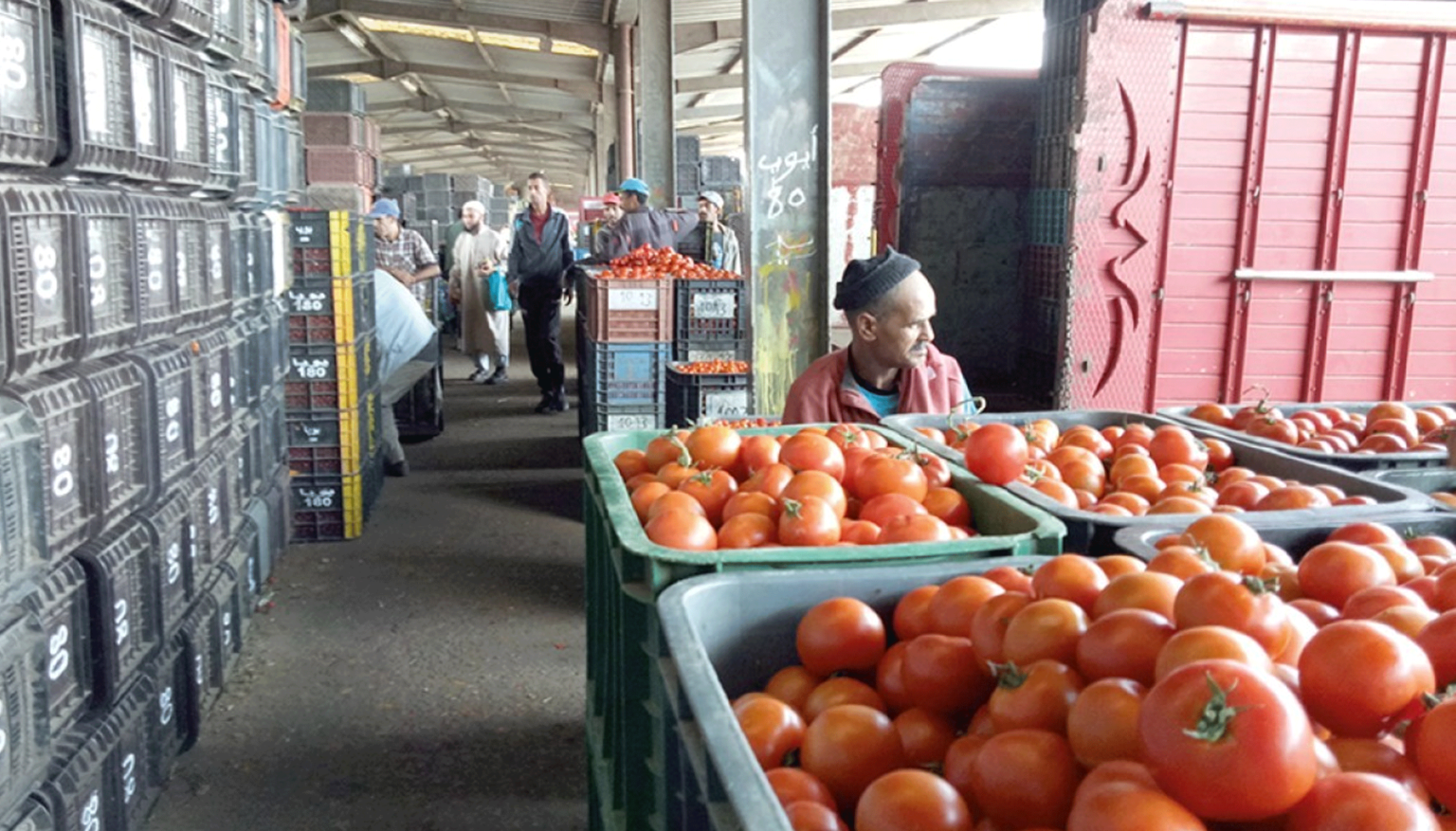 Casablanca: 1,5 milliard de DH pour la construction d’un nouveau marché de gros Casablanca: 1,5 milliard de DH pour la construction d’un nouveau marché de gros