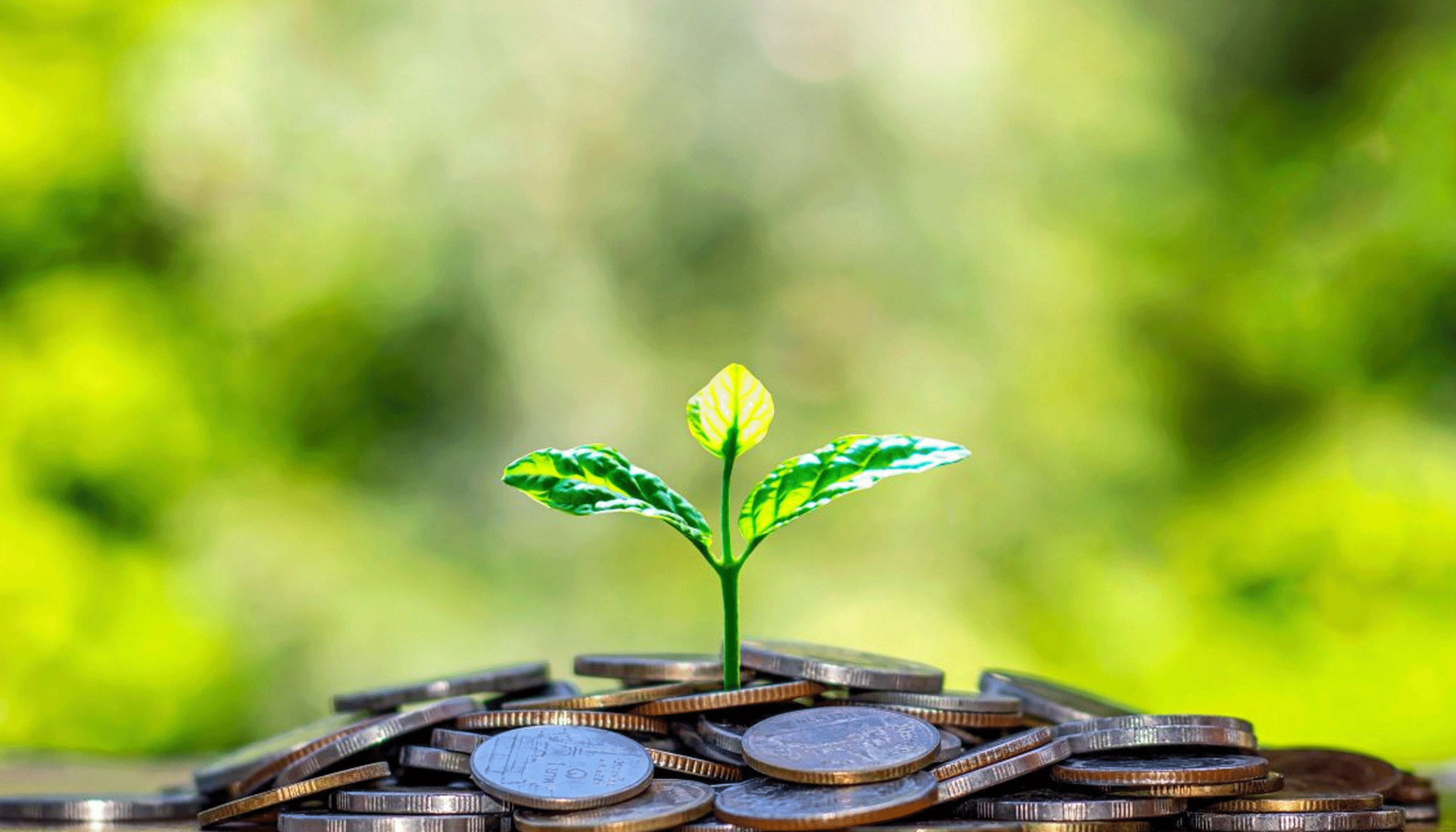 Les systèmes de garantie au cœur de la promotion des investissements durables dans la région euro-méditerranéenne Les systèmes de garantie au cœur de la promotion des investissements durables dans la région euro-méditerranéenne
