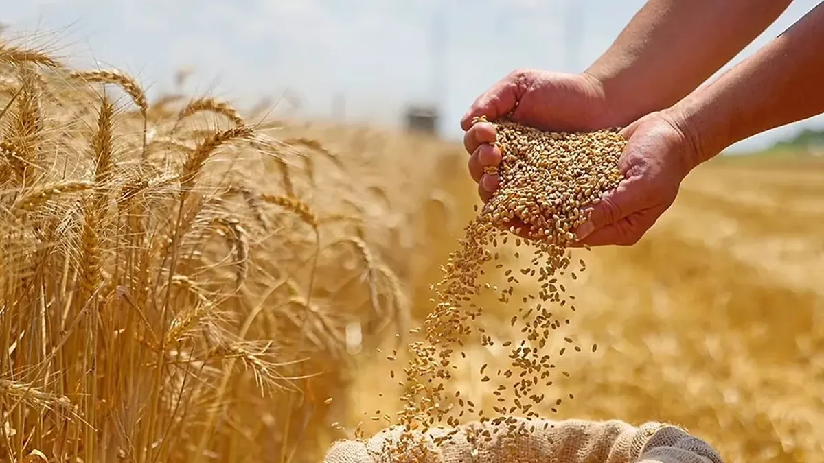 Diplomatie des moissons : le Maroc dans l’orbite du « Food for Progress » américain L'USDA classe le Maroc parmi les sept pays prioritaires du programme américain Food for Progress 2026-L'Essentiel